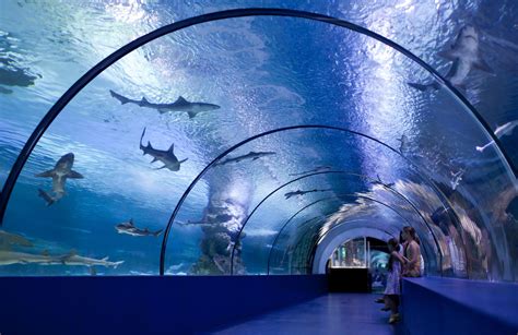 Osaka Aquarium KAIYUKAN.